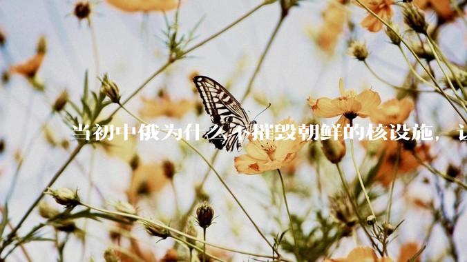 当初中俄为什么不摧毁朝鲜的核设施，让朝鲜拥有了自己的核武器？