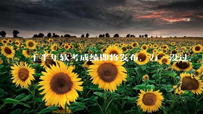 上半年软考成绩即将发布，万一没过，下半年如何备考？