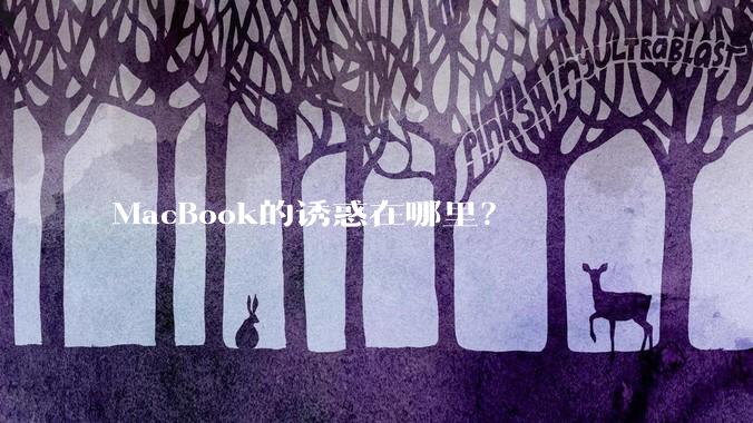 MacBook的诱惑在哪里？