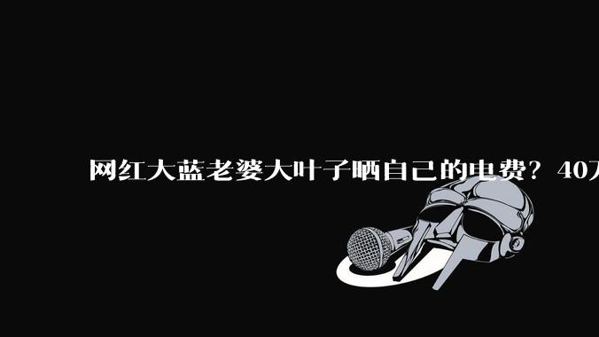 网红大蓝老婆大叶子晒自己的电费？40万每年，到底是什么概念？