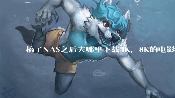 搞了NAS之后去哪里下载4K，8K的电影？