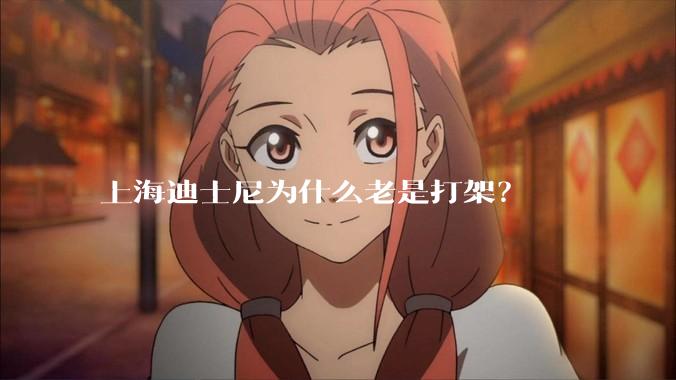 上海迪士尼为什么老是打架？