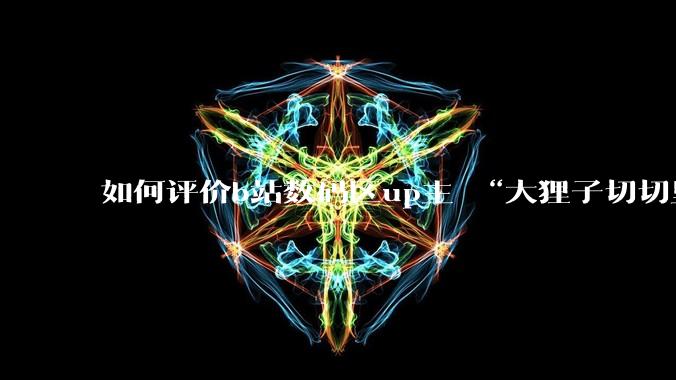 如何评价b站数码区up主 “大狸子切切里”?