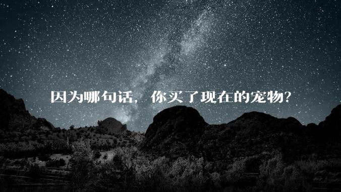 因为哪句话，你买了现在的宠物？