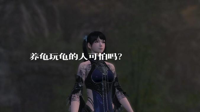 养龟玩龟的人可怕吗？