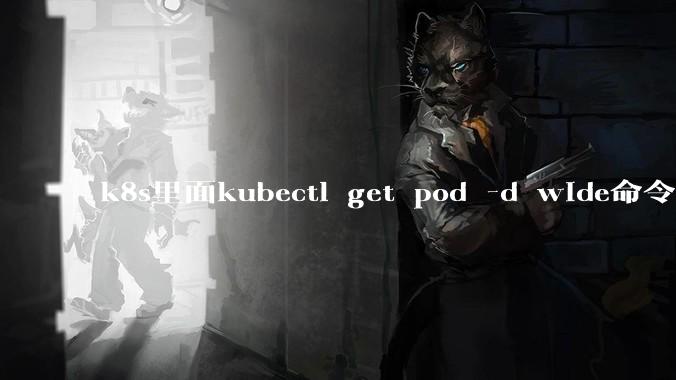 k8s里面kubectl get pod -d wide命令作用是什么？