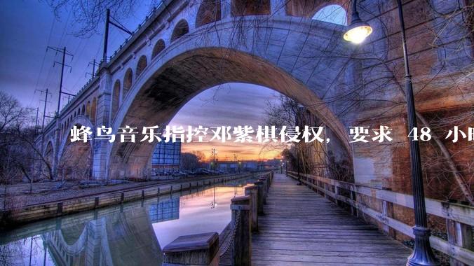 蜂鸟音乐指控邓紫棋侵权，要求 48 小时内下架重录歌曲，邓紫棋回应「不会下架」，这一指控合理吗？