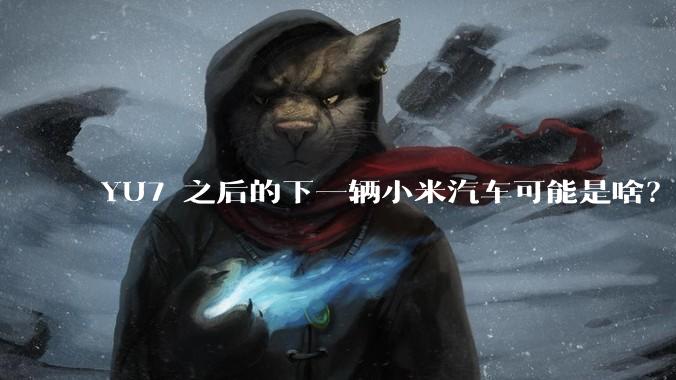 YU7 之后的下一辆小米汽车可能是啥？小米会把所有车型做一遍吗？