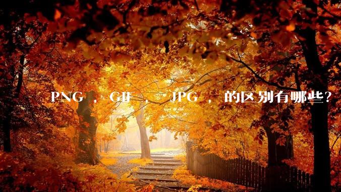 PNG ，GIF ， JPG ，的区别有哪些？