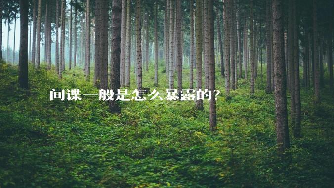 间谍一般是怎么暴露的？