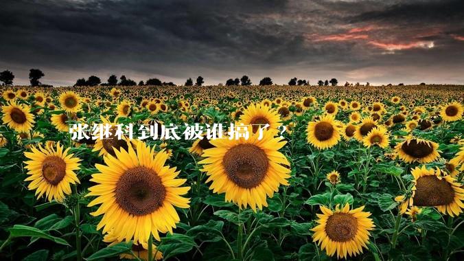 张继科到底被谁搞了?