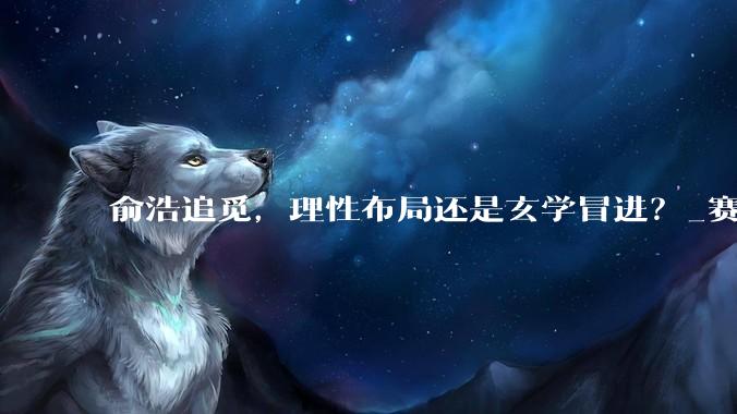 俞浩追觅，理性布局还是玄学冒进？_赛道_发展期_业务