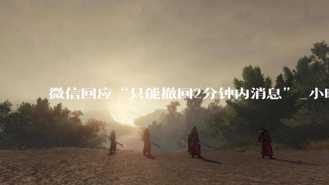 微信回应“只能撤回2分钟内消息”_小时_通知栏_错话