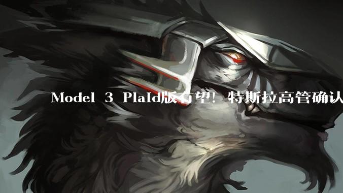 Model 3 Plaid版有望！特斯拉高管确认：正研究三电机版_莫拉维_技术_工程