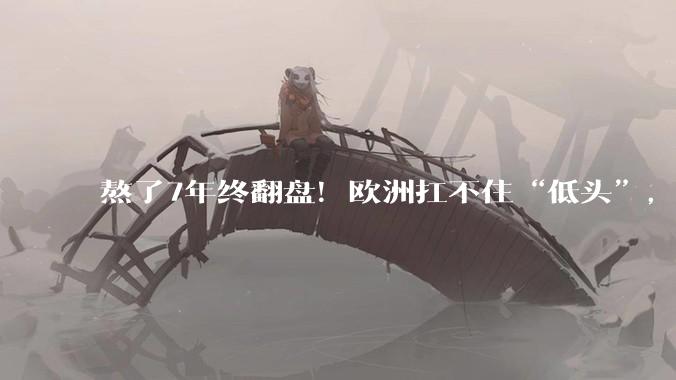 熬了7年终翻盘！欧洲扛不住“低头”，国产C919这次或真的要起飞了_认证_市场_空客