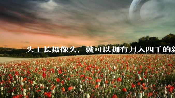 头上长摄像头，就可以拥有月入四千的新副业吗？_数据_世超_机器人
