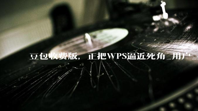豆包收费版，正把WPS逼近死角_用户_办公_格式