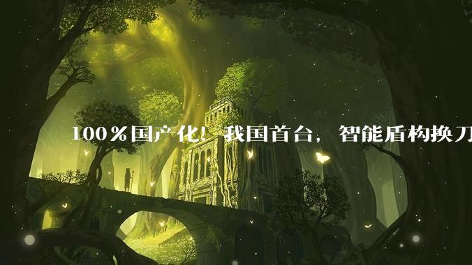 100%国产化！我国首台，智能盾构换刀机器人发布_金号_隧道_金大桥