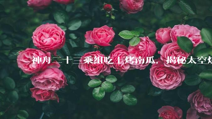神舟二十三乘组吃上烤南瓜，揭秘太空烧烤背后的含“科”量_空间科学_领域_航天
