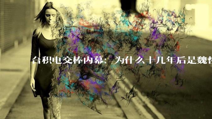 台积电交棒内幕：为什么十几年后是魏哲家赢了？_客户_钛合金_地方