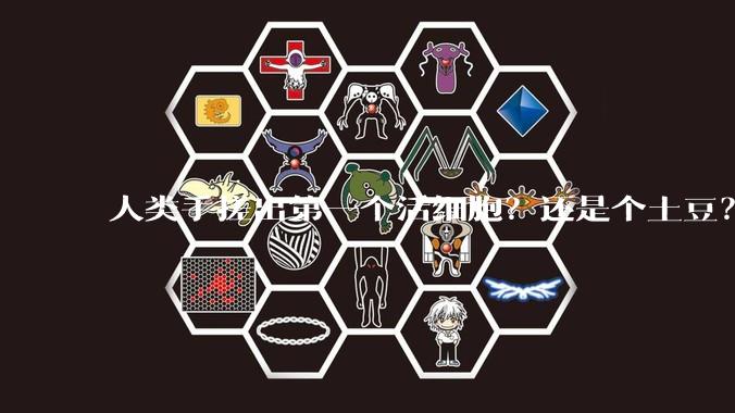 人类手搓出第一个活细胞？还是个土豆？_小子_合成_研究