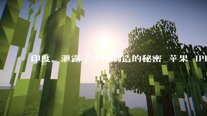 印度，泄露了中国制造的秘密_苹果_iPhone_库克当