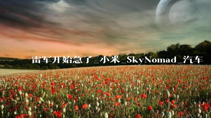 雷军开始急了_小米_SkyNomad_汽车