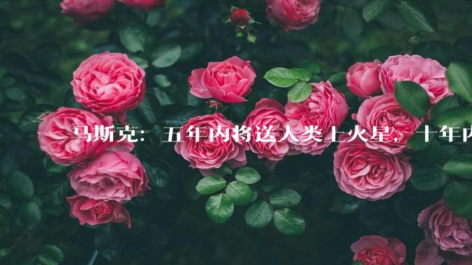 马斯克：五年内将送人类上火星，十年内在月球建城市，轨道数据中心叫“星脑”_SpaceX_地球_卫星