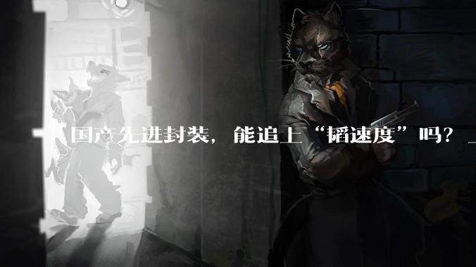 国产先进封装，能追上“韬速度”吗？_芯片_逻辑_间距