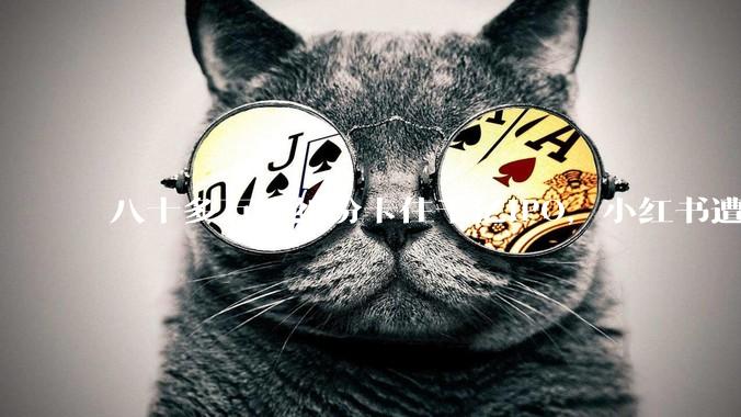 八十多万的纠纷卡住千亿IPO，小红书遭遇“上市劫”到底冤不冤？_陈浩正_期权_公司
