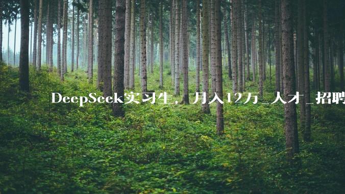 DeepSeek实习生，月入12万_人才_招聘_***