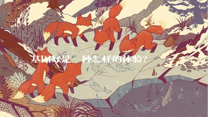基因好是一种怎样的体验？