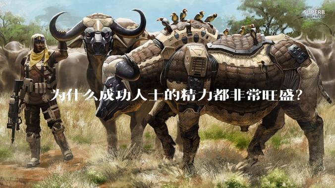 为什么成功人士的精力都非常旺盛？