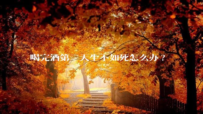 喝完酒第二天生不如死怎么办?
