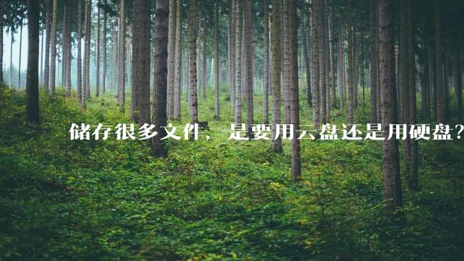 储存很多文件，是要用云盘还是用硬盘？