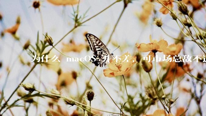 为什么 macOS 并不差，可市场总敌不过 Windows？