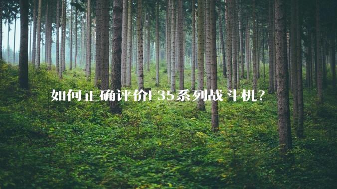如何正确评价F35系列战斗机？