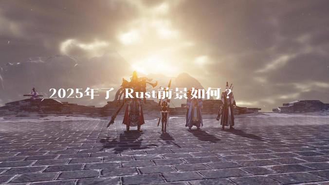 2025年了 Rust前景如何?