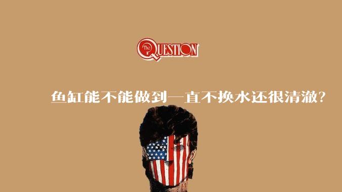 鱼缸能不能做到一直不换水还很清澈？