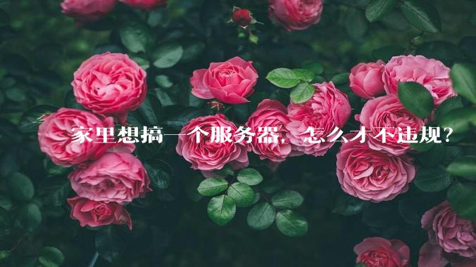 家里想搞一个服务器，怎么才不违规？