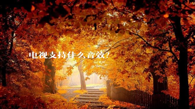 电视支持什么音效？