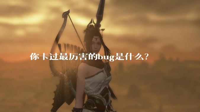 你卡过最厉害的bug是什么？