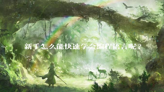 新手怎么能快速学会编程语言呢?