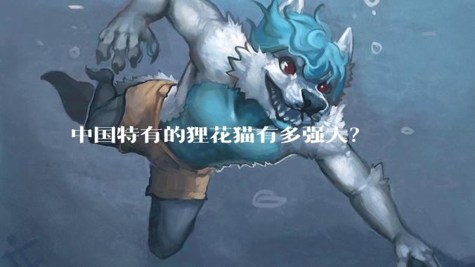 中国特有的狸花猫有多强大？