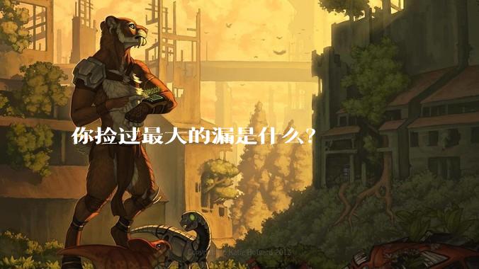 你捡过最大的漏是什么？