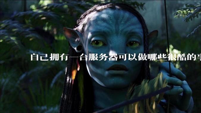 自己拥有一台服务器可以做哪些很酷的事情？