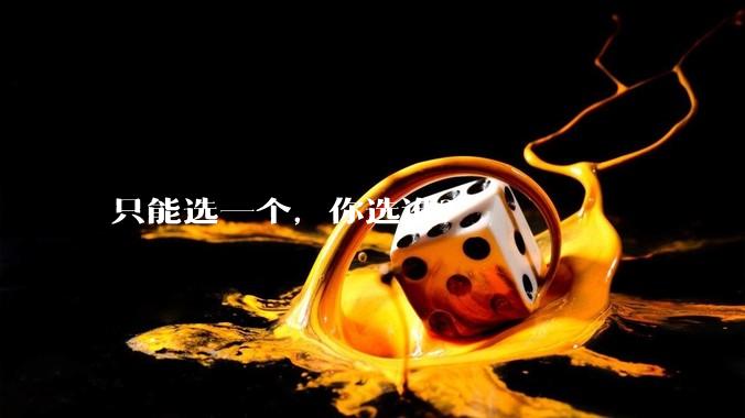只能选一个，你选谁？
