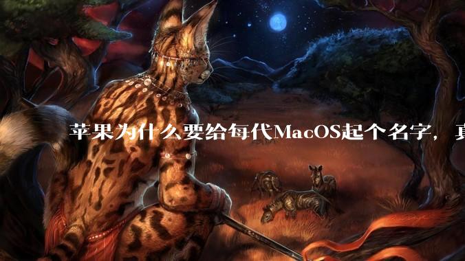 苹果为什么要给每代MacOS起个名字，真以为人们记得住分得清吗？
