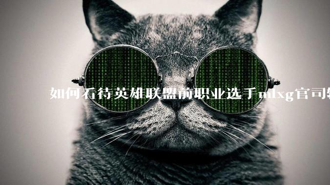 如何看待英雄联盟前职业选手mlxg官司输了，被强制执行2500w？