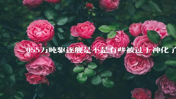 055万吨驱逐舰是不是有些被过于神化了，有没有了解的大佬详细解释一下？